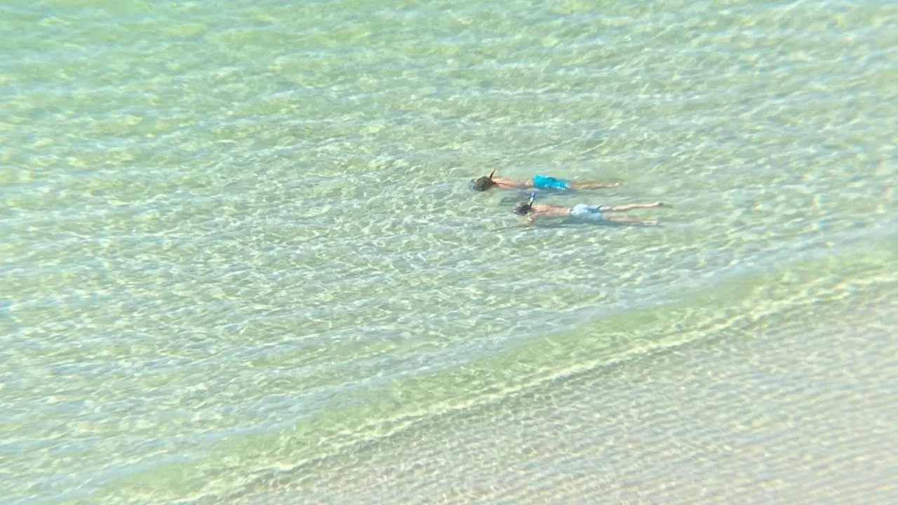 Semesterbostad Splash 1107 W Panama City Beach USA